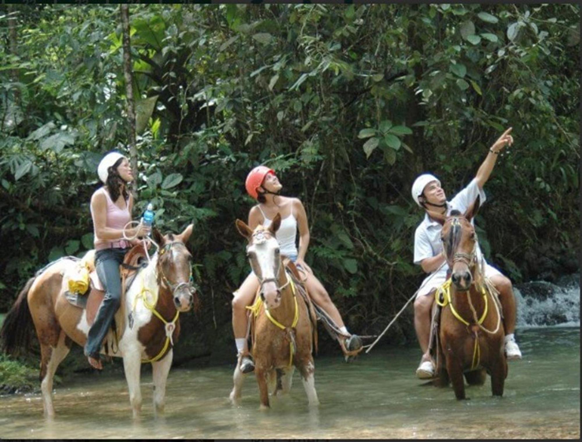 Hotel Planeta Sano Manuel Antonio Bagian luar foto