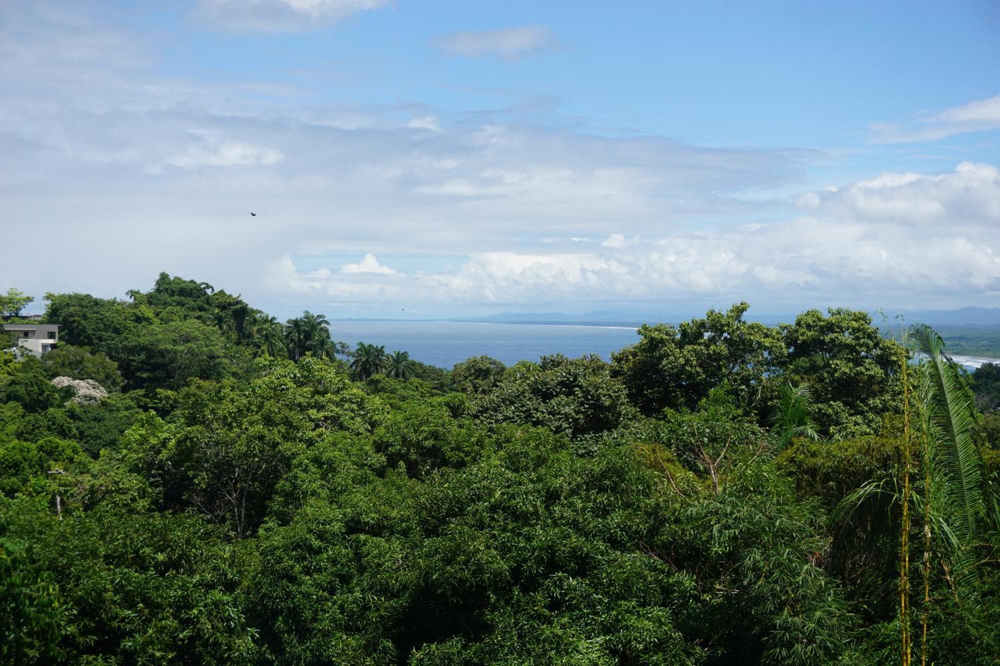 Hotel Planeta Sano Manuel Antonio Bagian luar foto