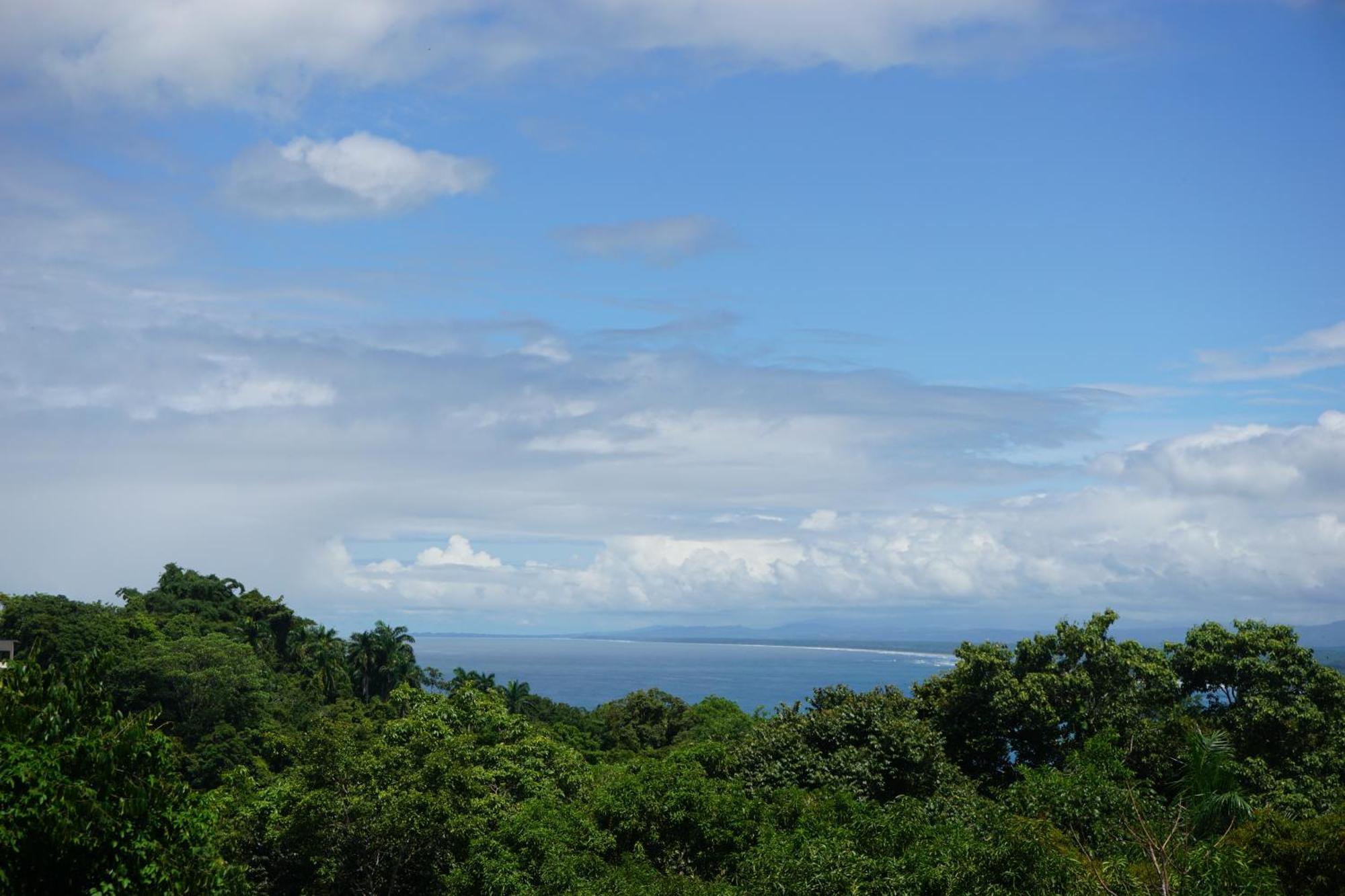 Hotel Planeta Sano Manuel Antonio Bagian luar foto