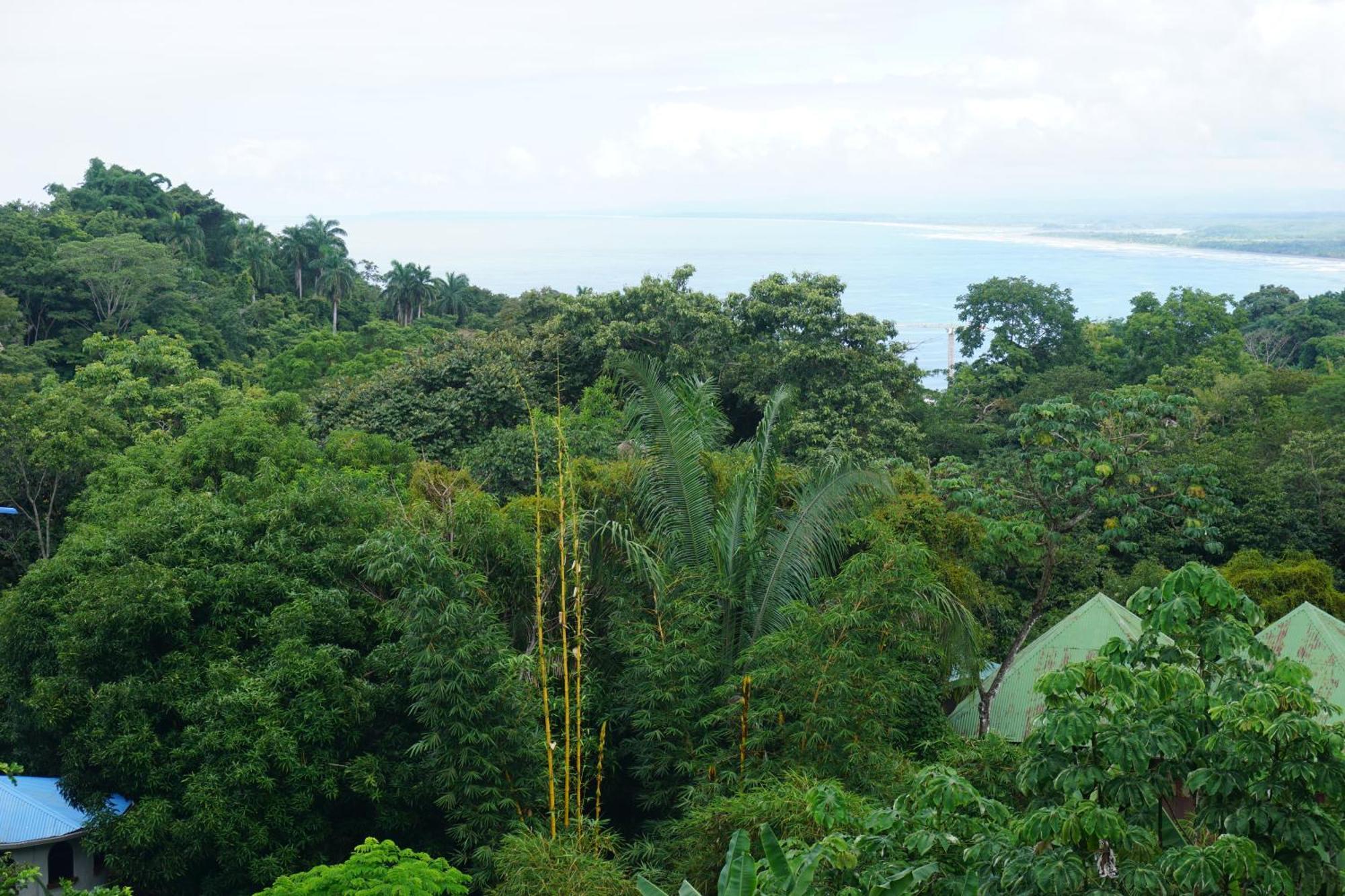 Hotel Planeta Sano Manuel Antonio Bagian luar foto